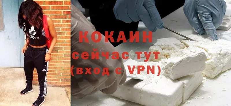 купить наркоту  Николаевск-на-Амуре  shop наркотические препараты  Cocaine Эквадор 