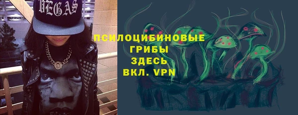 стаф Медногорск