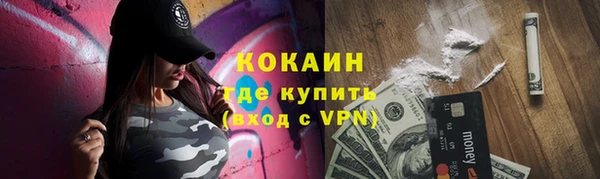 стаф Медногорск
