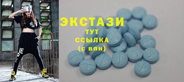 стаф Медногорск