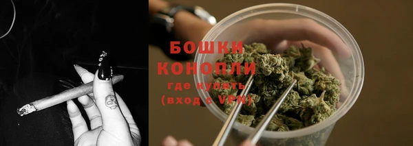 apvp Анива