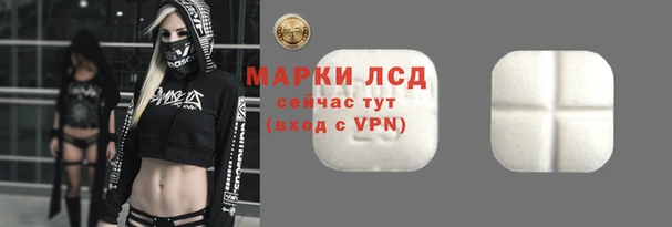 стаф Медногорск