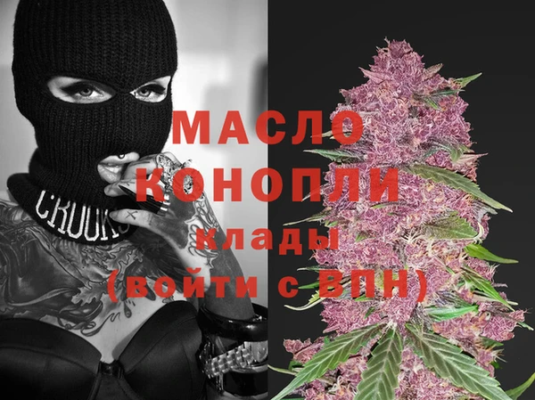 стаф Медногорск