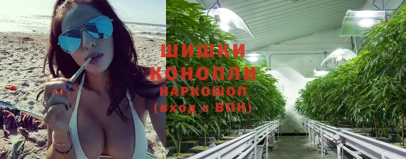 хочу   Николаевск-на-Амуре  ссылка на мегу рабочий сайт  Конопля OG Kush 